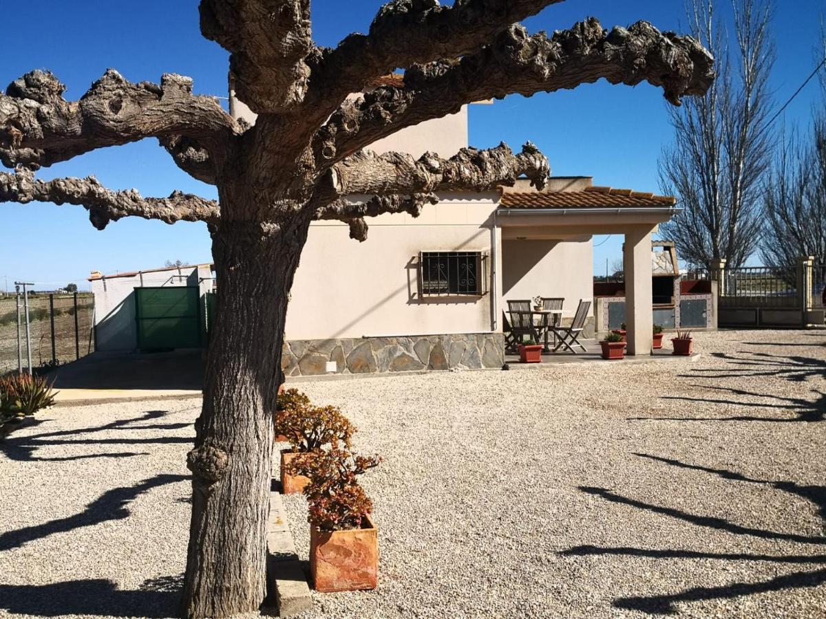 Casa Laura Guest House Deltebre Exterior foto